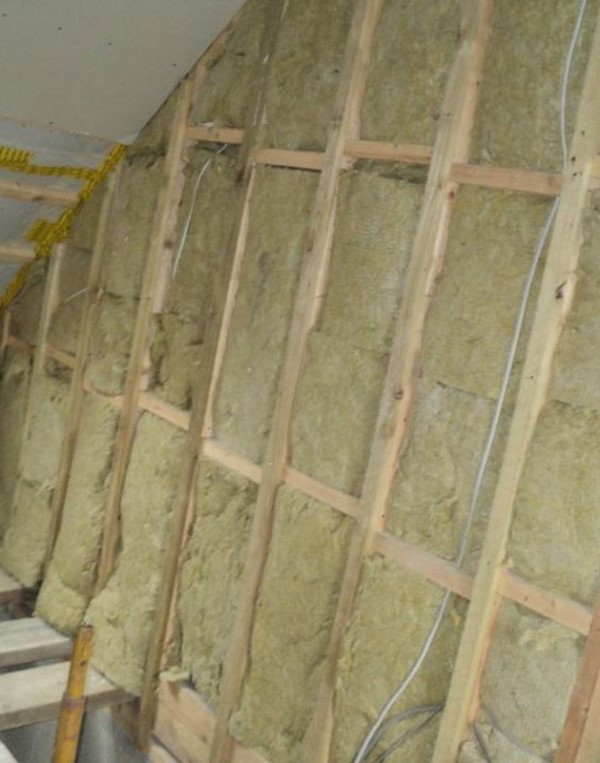 Mould in porous building materials