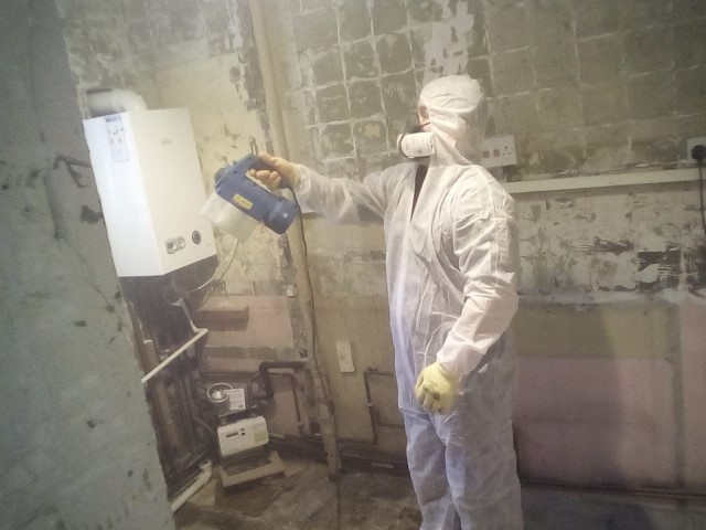 mycometer, mould testing - BUILDNOSTICS - Buildnostics - Mould Testing | Mycometer Air & Surface Testing